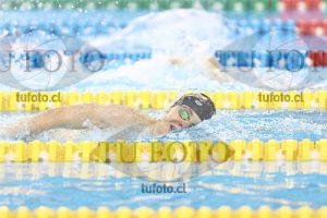 Image NC 800 L Varones 00126