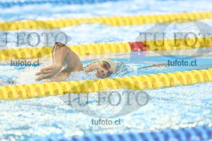 Image NC 800 L Varones 00130