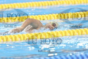 Image NC 800 L Varones 00137