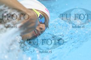 Image NC 800 L Varones 00144