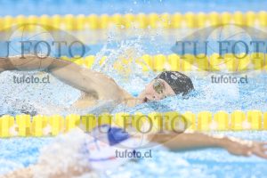 Image NC 800 L Varones 00146