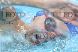 Image NC 800 L Varones 00150