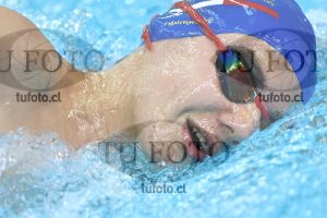 Image NC 800 L Varones 00151