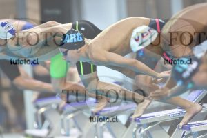 Image NC 800 L Varones 00181