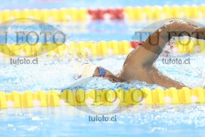 Image NC 800 L Varones 00191