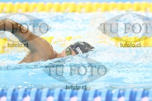 Image NC 800 L Varones 00193