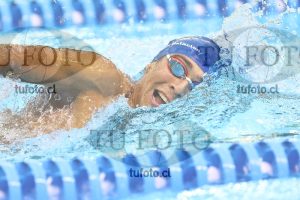 Image NC 800 L Varones 00196
