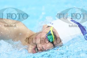 Image NC 800 L Varones 00197