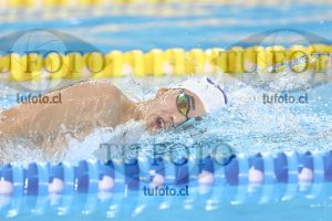 Image NC 800 L Varones 00199