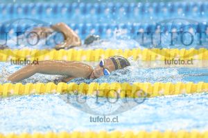 Image NC 800 L Damas 00004
