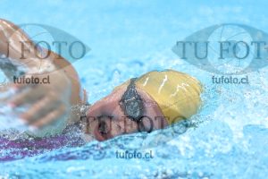 Image NC 800 L Damas 00005