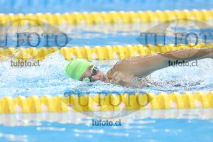 Image NC 800 L Damas 00007