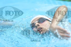 Image NC 800 L Damas 00010