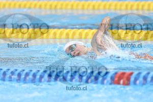 Image NC 800 L Damas 00011