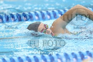 Image NC 800 L Damas 00015