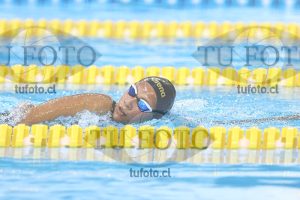 Image NC 800 L Damas 00018