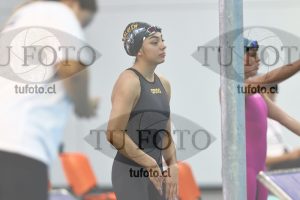 Image NC 800 L Damas 00044