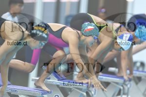 Image NC 800 L Damas 00052