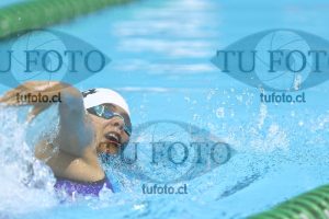 Image NC 800 L Damas 00054