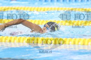 Image NC 800 L Damas 00058