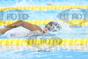 Image NC 800 L Damas 00060