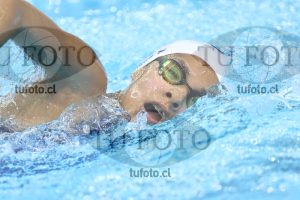 Image NC 800 L Damas 00061