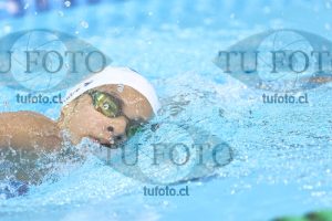 Image NC 800 L Damas 00062