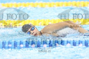 Image NC 800 L Damas 00070