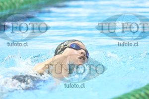 Image NC 800 L Damas 00076