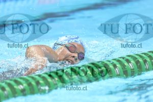 Image NC 800 L Damas 00077