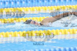 Image NC 800 L Damas 00078