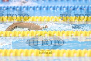Image NC 800 L Damas 00111