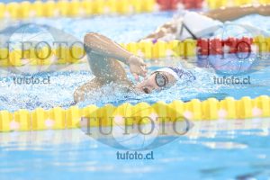 Image NC 800 L Damas 00113