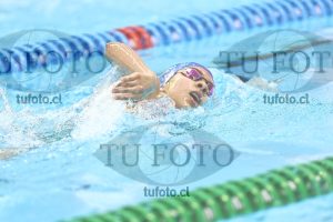 Image NC 800 L Damas 00116