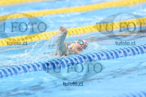 Image NC 800 L Damas 00118