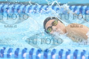 Image NC 800 L Damas 00120