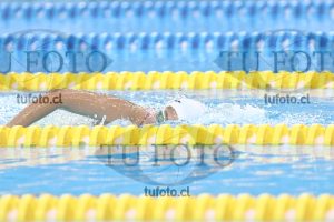 Image NC 800 L Damas 00123