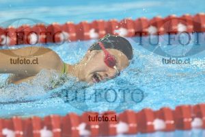 Image NC 800 L Damas 00137