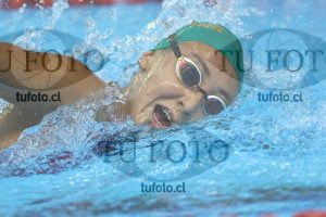 Image NC 800 L Damas 00138