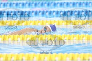 Image NC 800 L Damas 00141