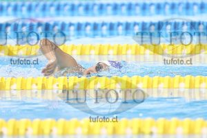 Image NC 800 L Damas 00142