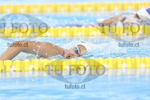 Image NC 800 L Damas 00143