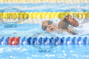 Image NC 800 L Damas 00149