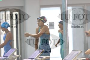 Image NC 800 L Damas 00155
