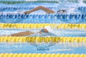 Image NC 800 L Damas 00164
