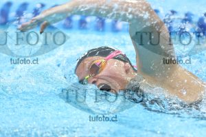 Image NC 800 L Damas 00171