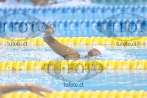 Image NC 800 L Damas 00173