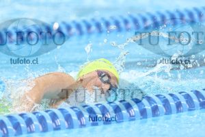Image NC 800 L Damas 00177