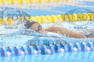 Image NC 800 L Damas 00178