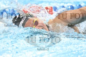 Image NC 800 L Damas 00180